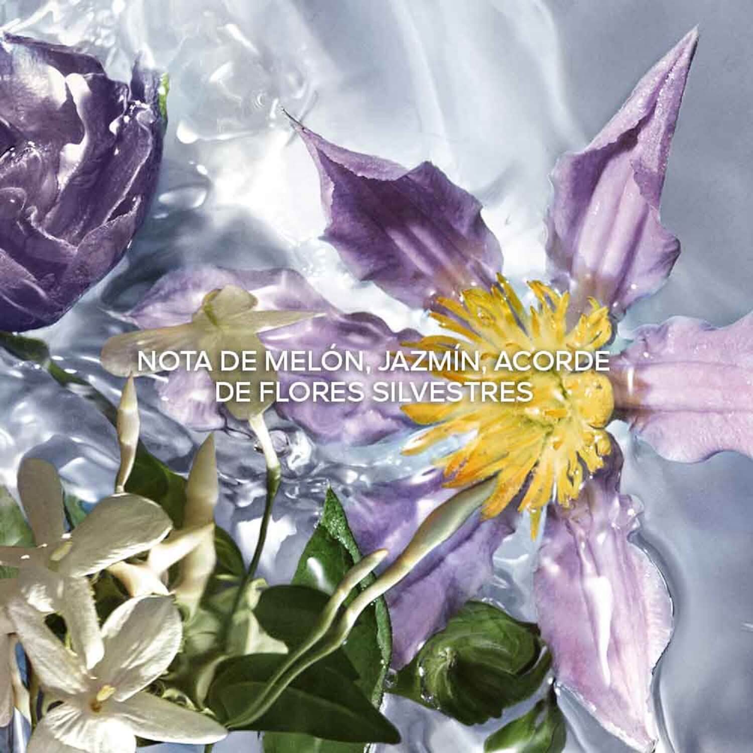 AQUA ALLEGORIA FLORA SALVAGGIA EAU DE TOILETTE
